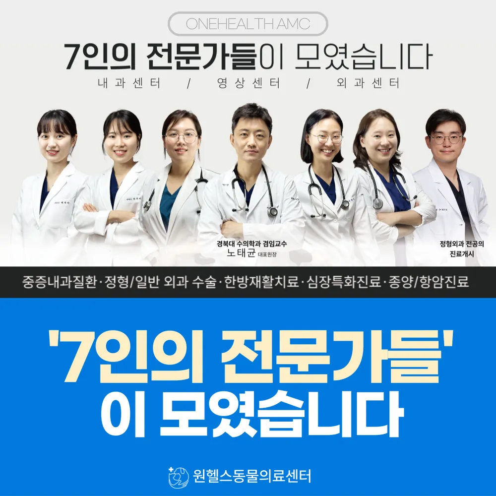 울산원헬스동물병원 대표 이미지