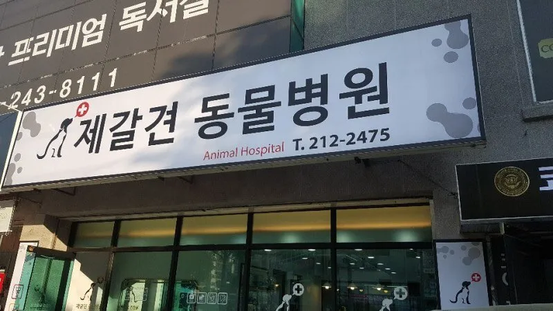 제갈견동물병원 대표 이미지