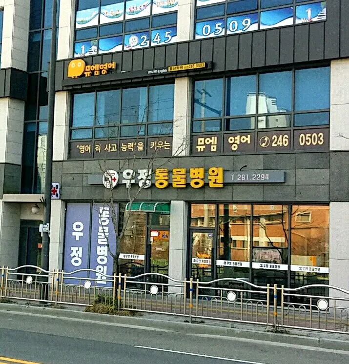 우정동물병원 대표 이미지