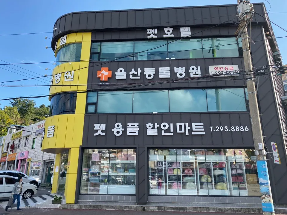 울산동물병원 대표 이미지