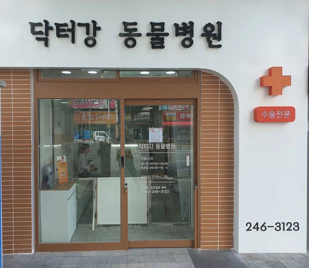 닥터강동물병원 대표 이미지