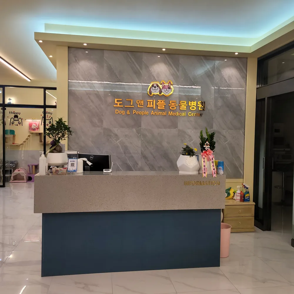 도그앤피플동물병원 대표 이미지