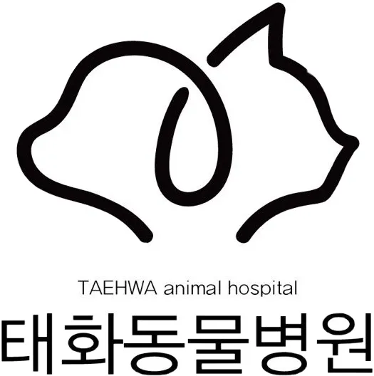 태화동물병원 대표 이미지