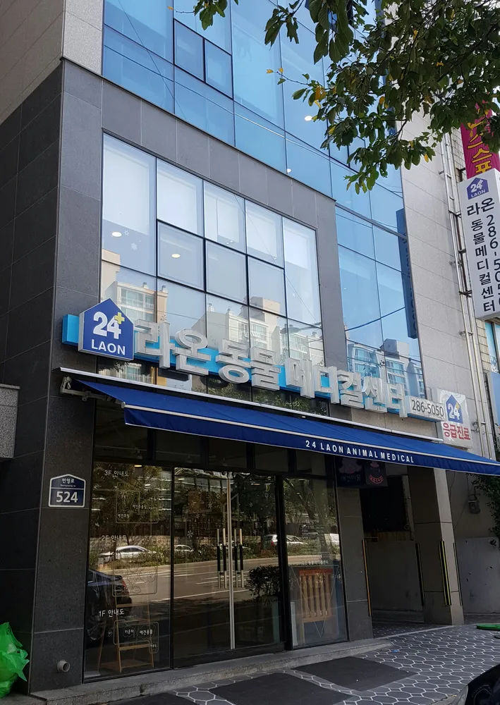 라온동물메디컬센터 대표 이미지
