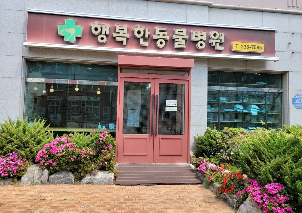 방어진행복한동물병원 대표 이미지