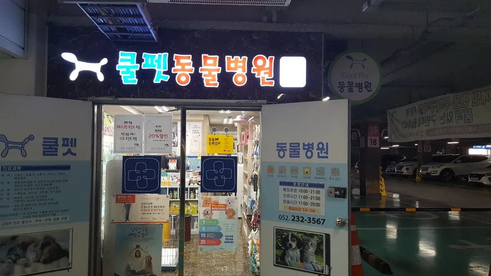 쿨펫동물병원 대표 이미지