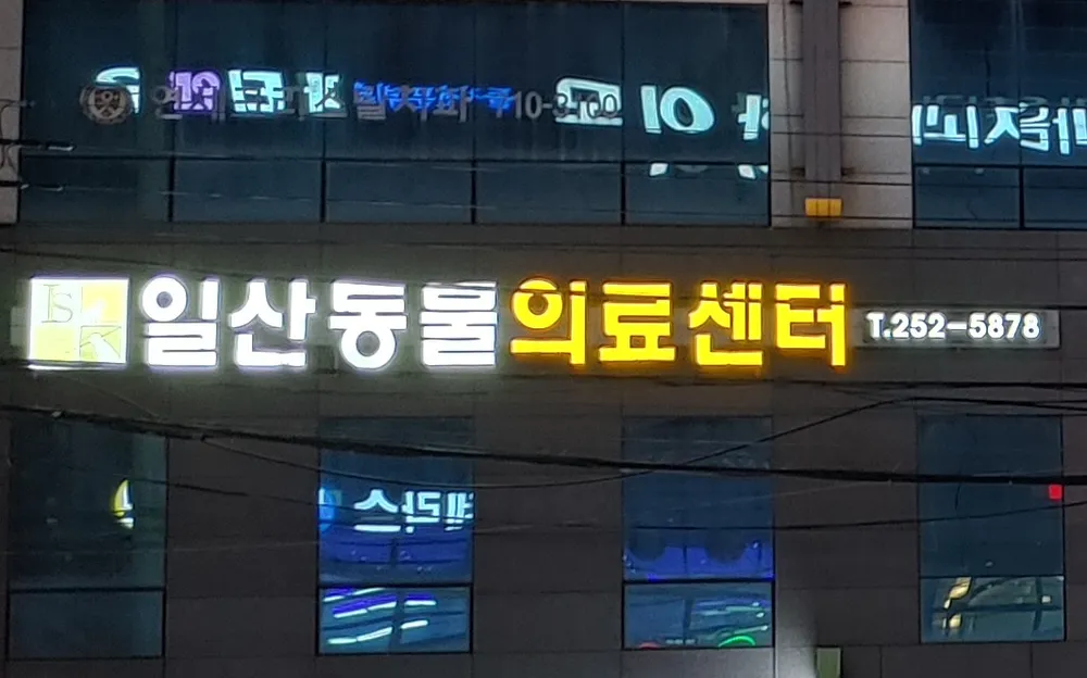 일산동물의료센터 대표 이미지