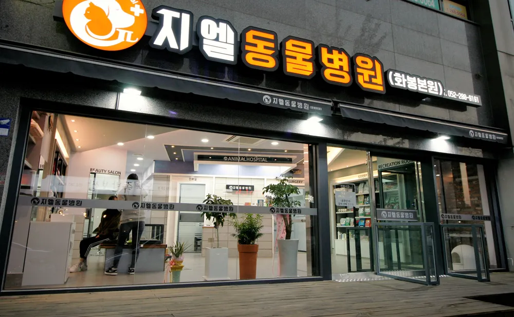화봉지엘동물병원 대표 이미지