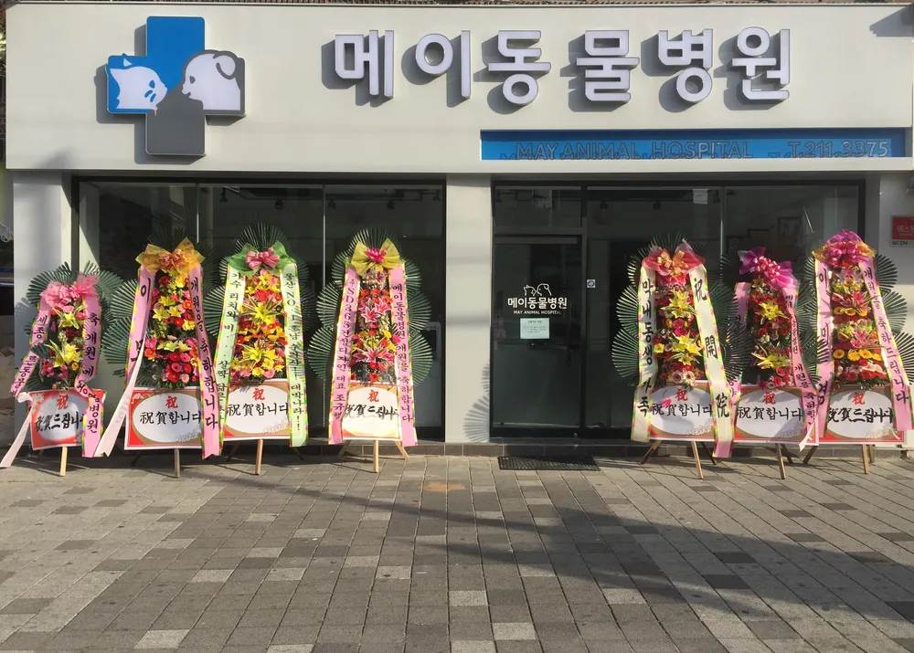 메이동물병원 대표 이미지