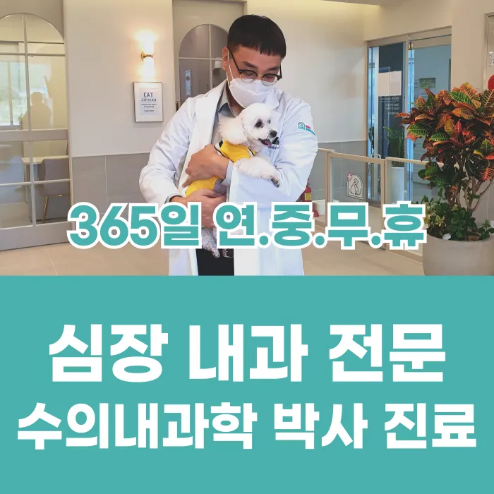 울산 잘하는동물메디컬센터 대표 이미지
