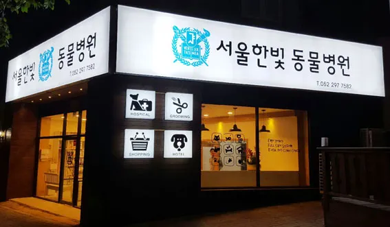 서울한빛동물병원 대표 이미지