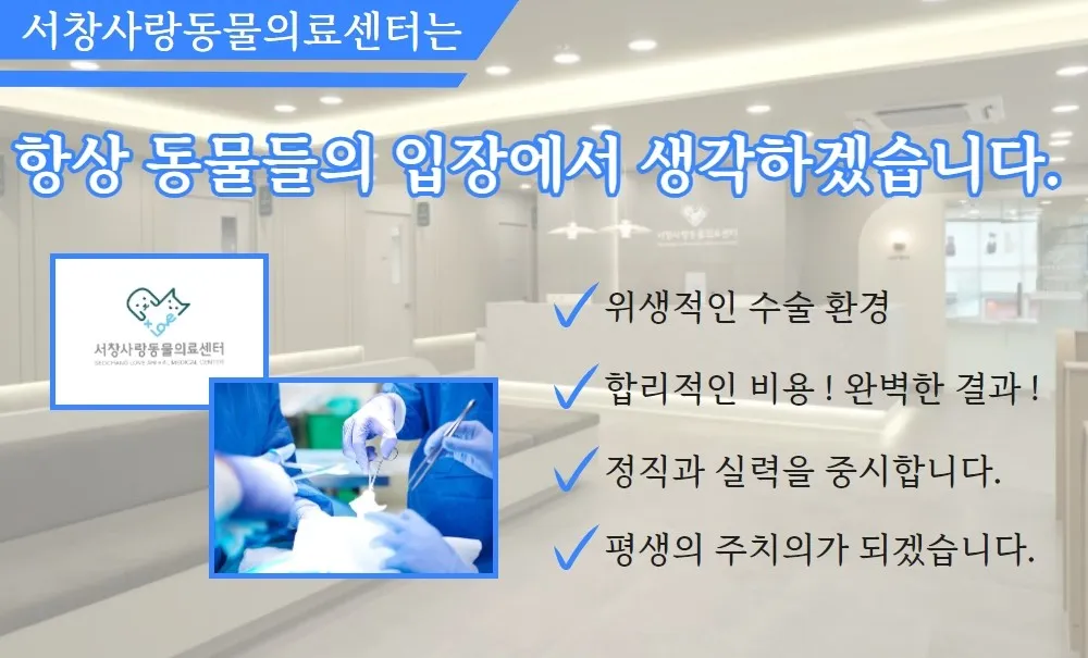 서창사랑동물의료센터 대표 이미지