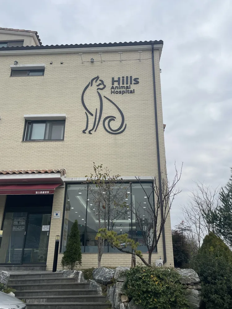 힐스동물병원 대표 이미지