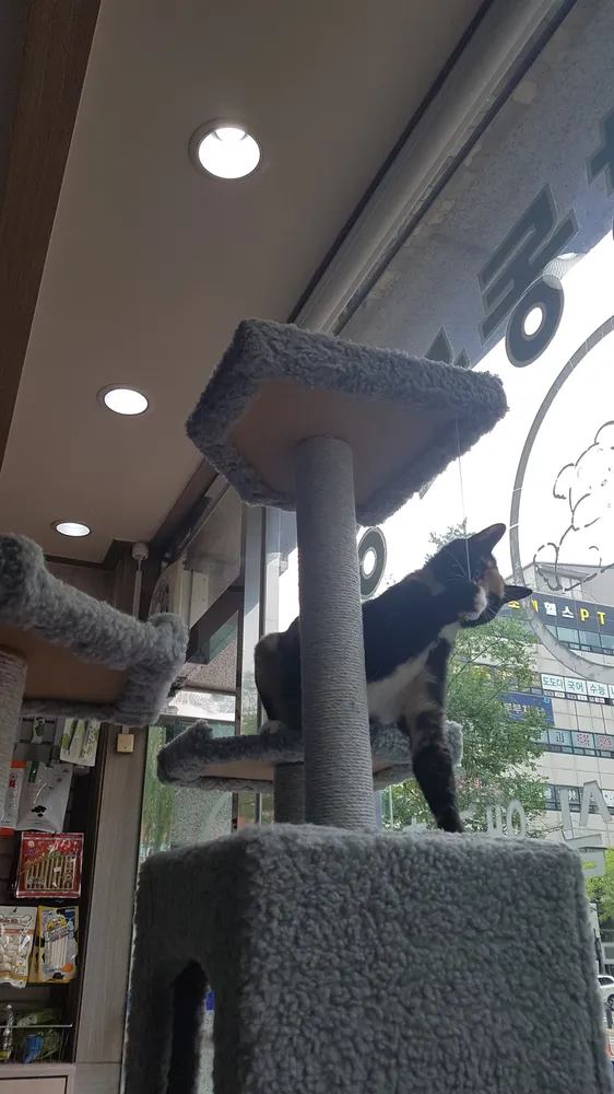 동물사랑동물병원 대표 이미지