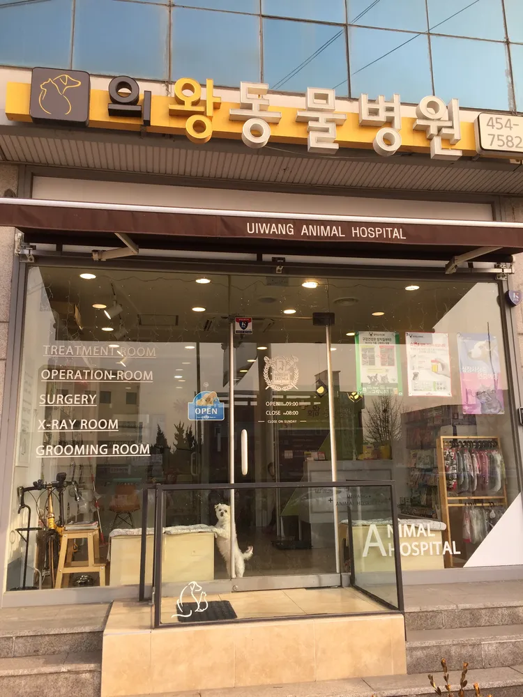 의왕동물병원 대표 이미지