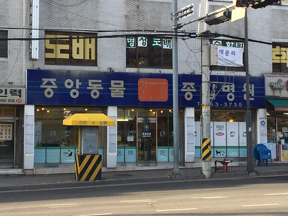 중앙동물종합병원 대표 이미지