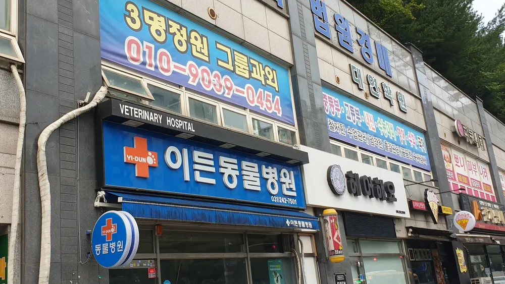 이든동물병원 대표 이미지