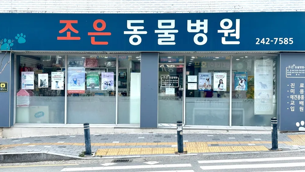 조은동물병원 대표 이미지