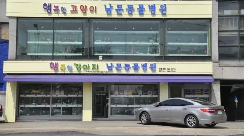 남문동물병원 대표 이미지