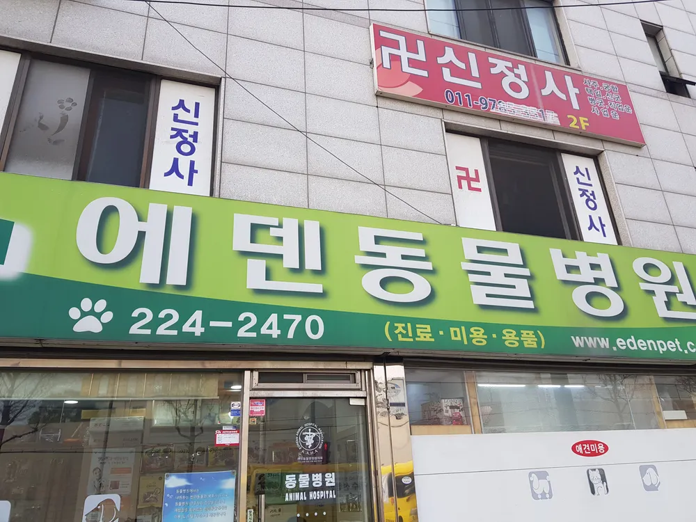 에덴동물병원 대표 이미지
