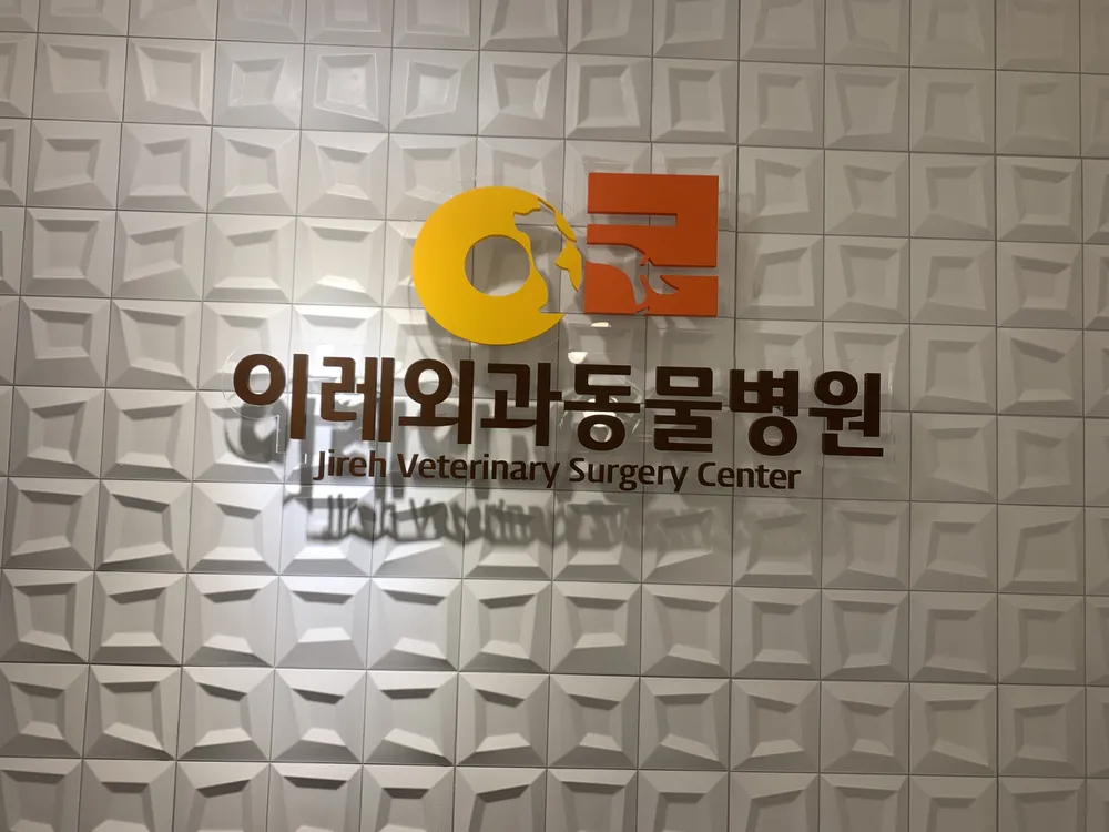 이레외과동물병원 대표 이미지