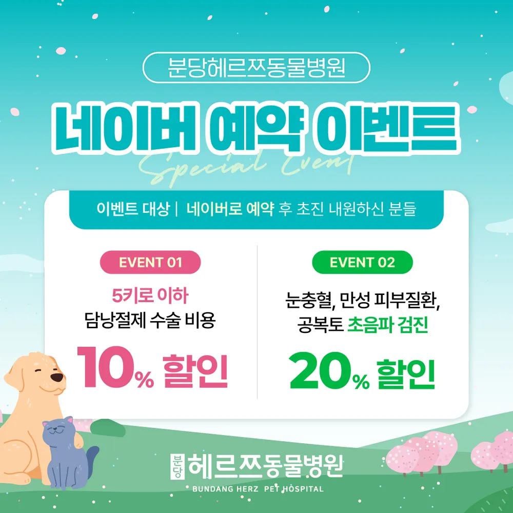 분당헤르쯔동물병원 대표 이미지