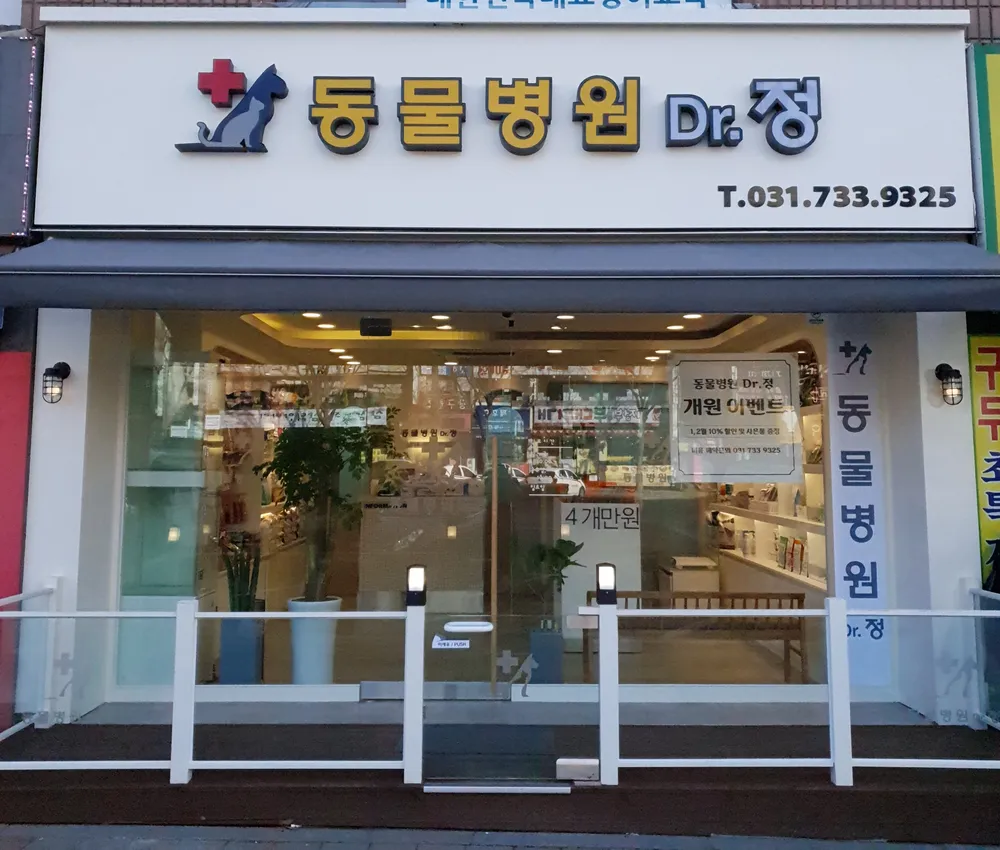 동물병원 닥터정 대표 이미지