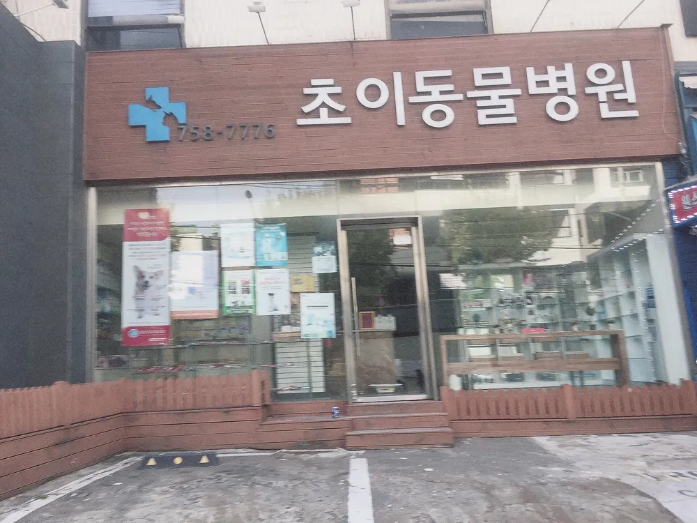초이동물병원 대표 이미지