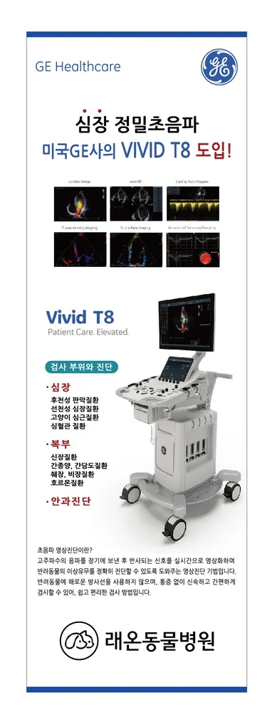 래온동물병원 대표 이미지