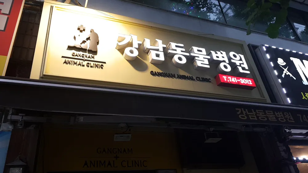 강남동물병원 대표 이미지