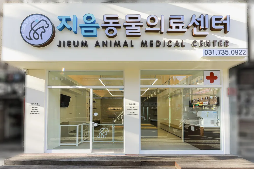 지음동물의료센터 대표 이미지