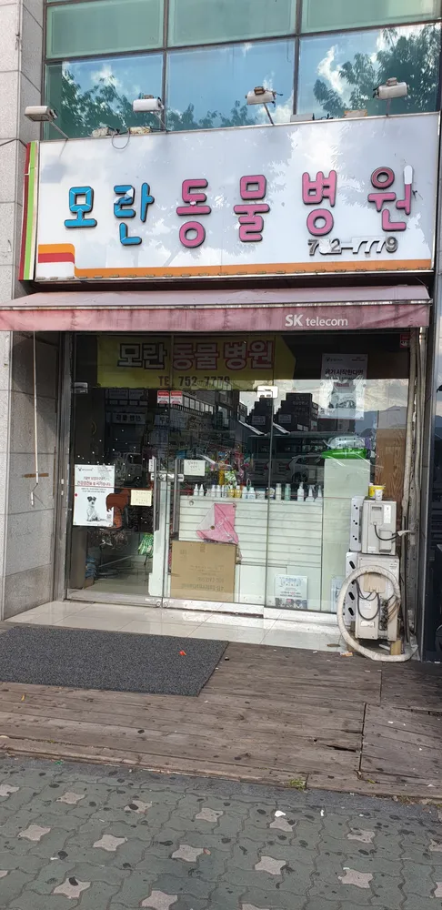 모란동물병원 대표 이미지