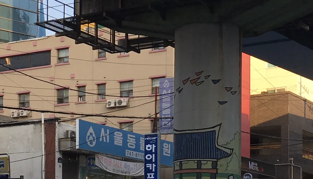 서울동물병원 대표 이미지
