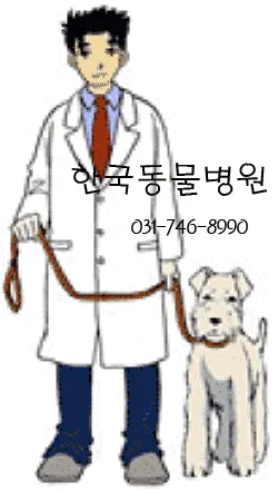 한국동물병원 대표 이미지