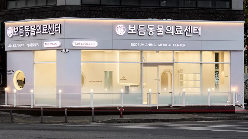 보듬동물의료센터 대표 이미지