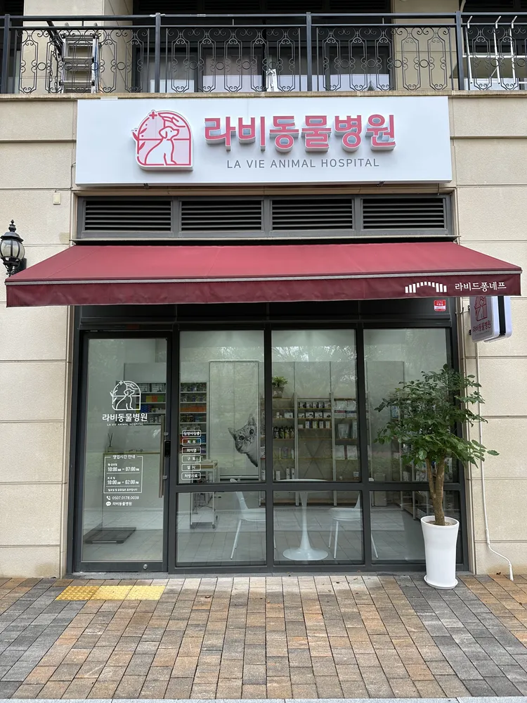 라비동물병원 대표 이미지