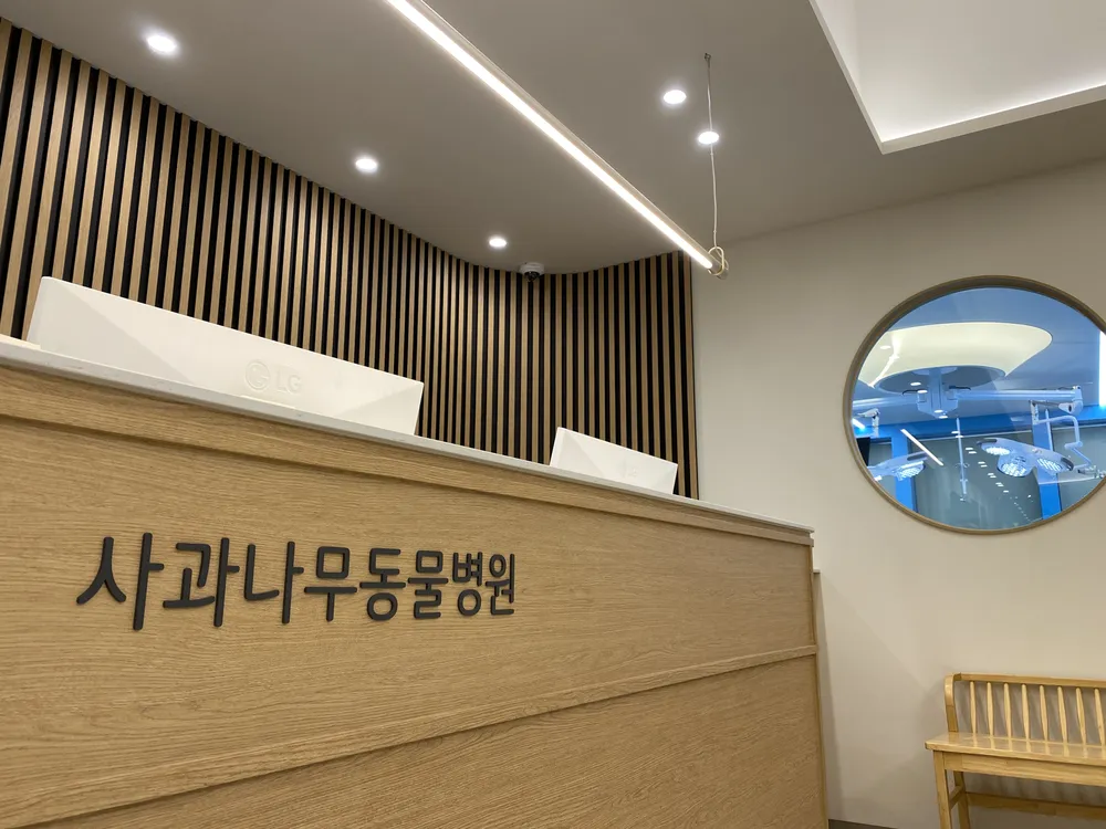 사과나무동물병원 대표 이미지