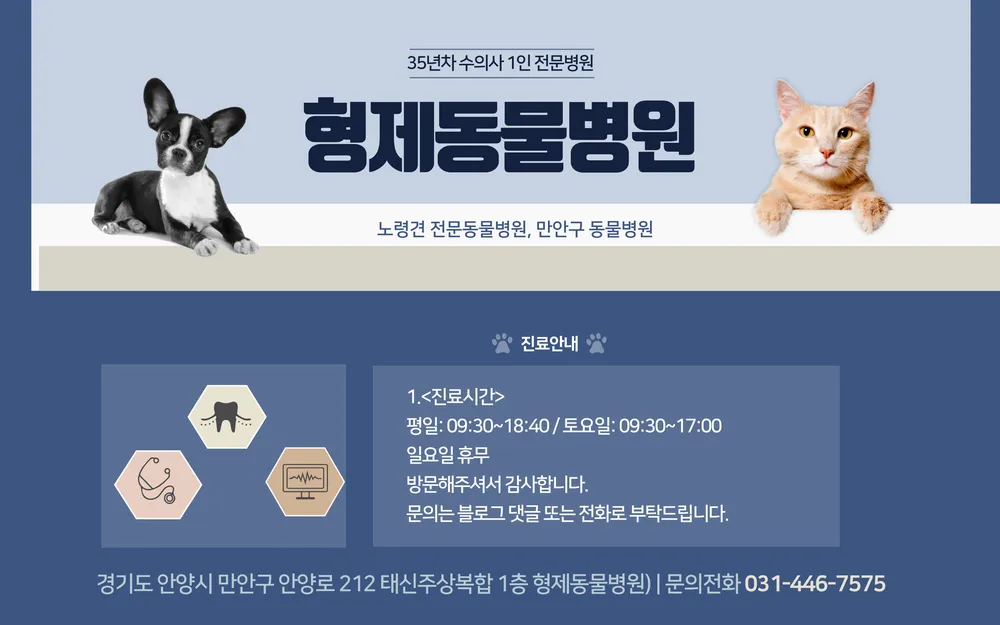 형제동물병원 대표 이미지