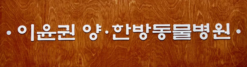 이윤권양한방동물병원 대표 이미지