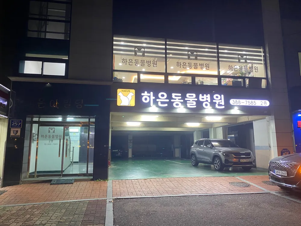 하은동물병원 대표 이미지