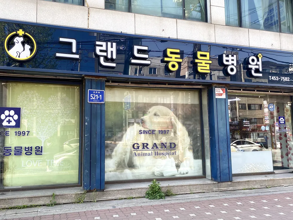 그랜드동물병원 대표 이미지