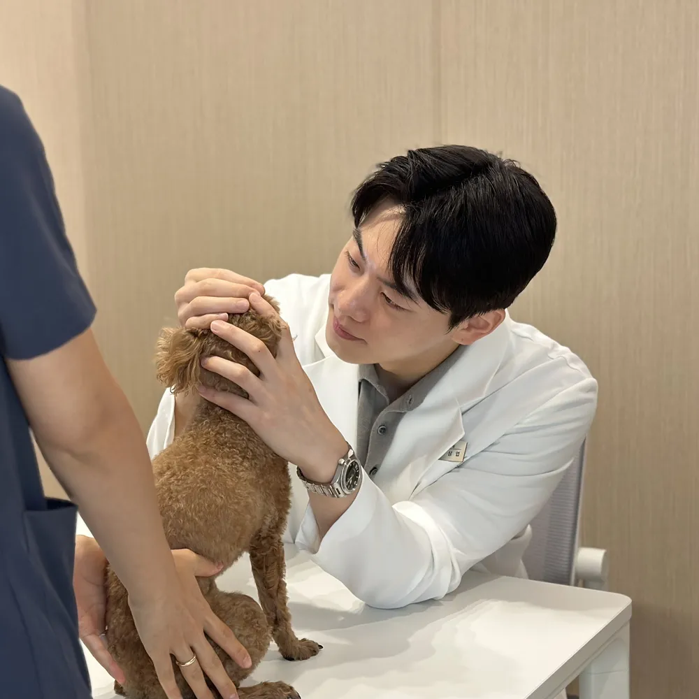 소중한동물병원 대표 이미지