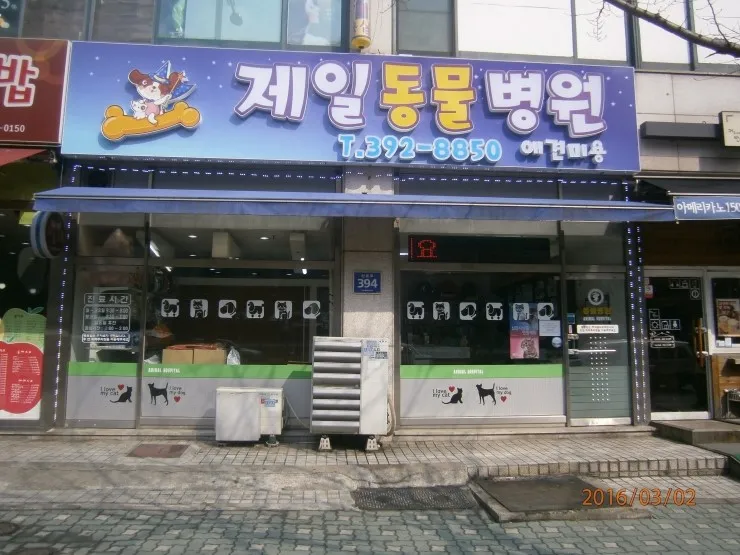 제일동물병원 대표 이미지