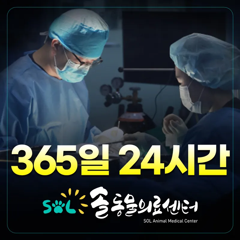 솔동물의료센터 대표 이미지