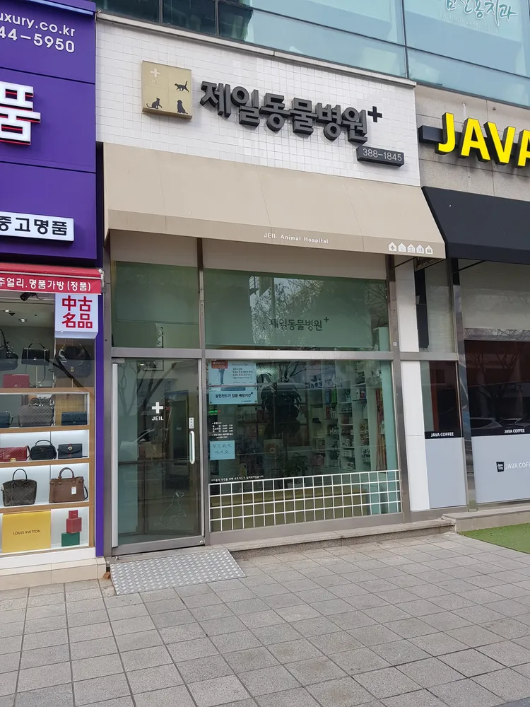 제일동물병원 대표 이미지