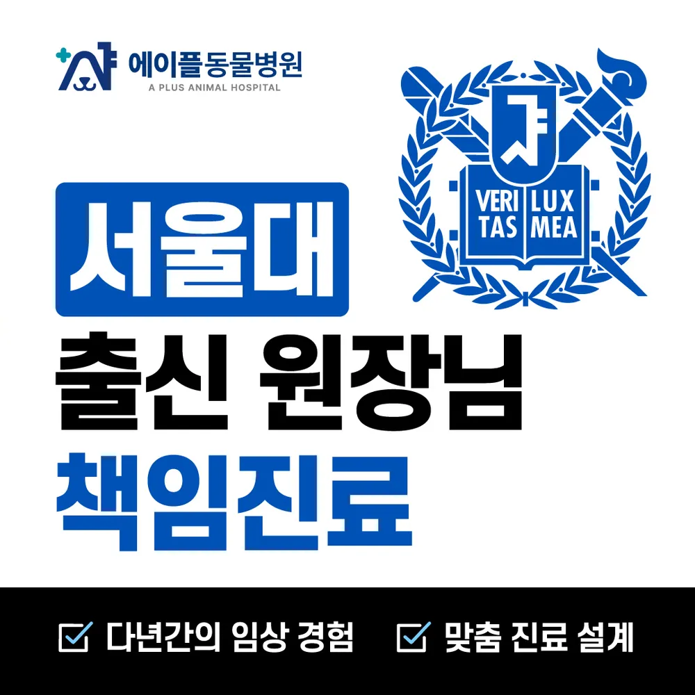 에이플동물병원 대표 이미지
