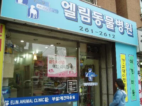 엘림동물병원 대표 이미지