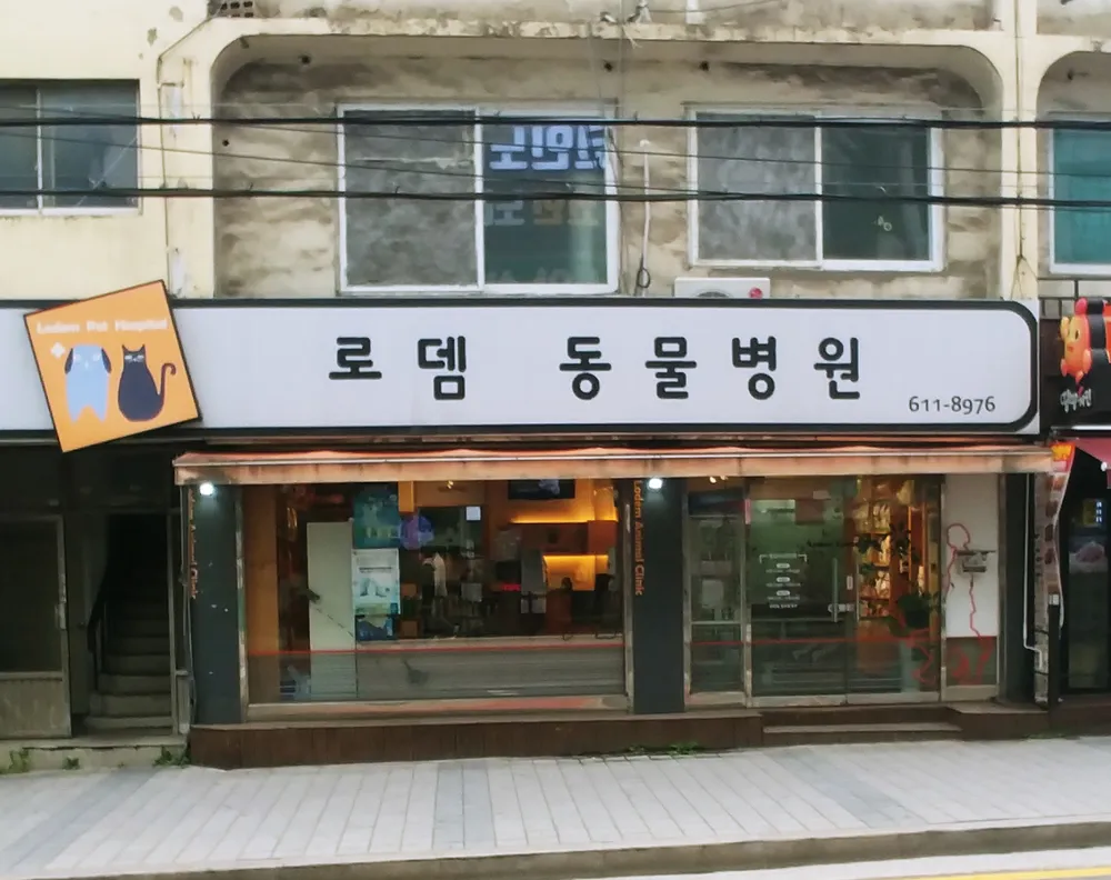 로뎀동물병원 대표 이미지
