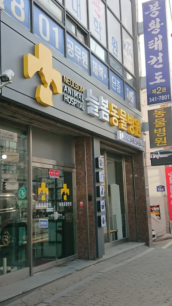 늘봄동물병원 대표 이미지
