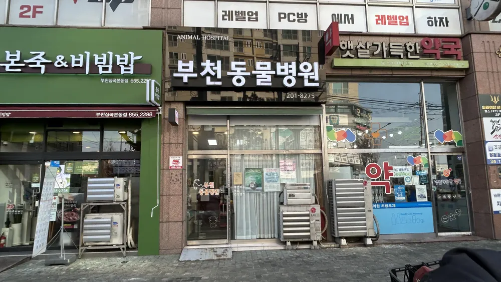 부천종합동물병원 대표 이미지
